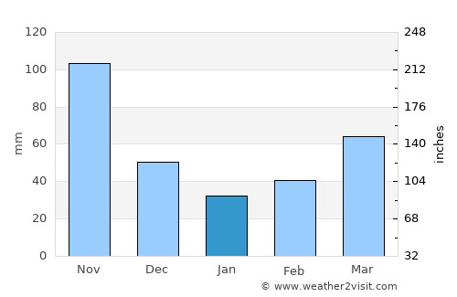 Delicias average rain in January