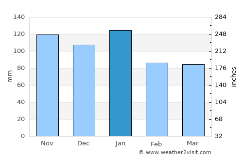 Delmas average rain in January