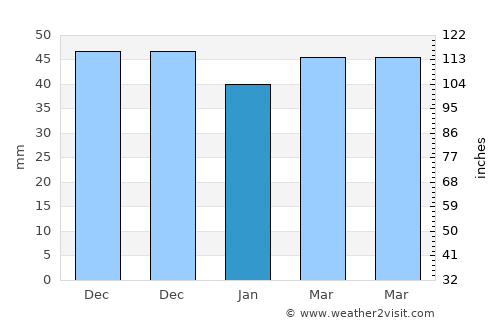 Develi average rain in January