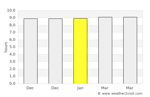 Dhamtari average rain in January