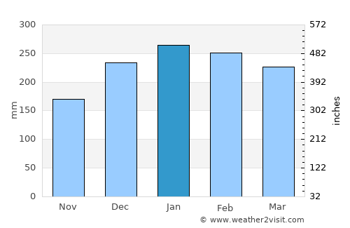 Diadema average rain in January