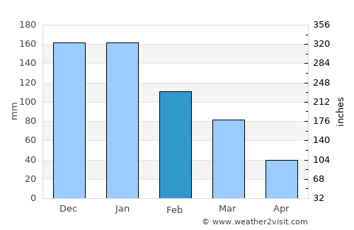 Didim average rain in February