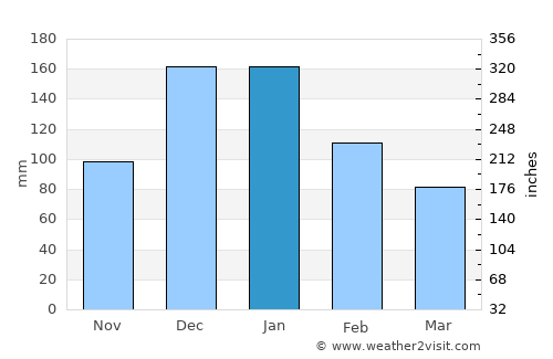 Didim average rain in January