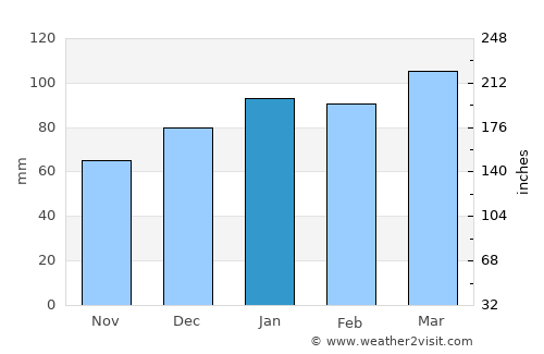 Dillon average rain in January