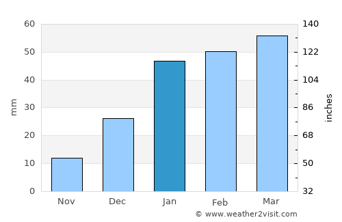 Dinga average rain in January