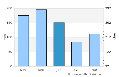 Disney average rain in January