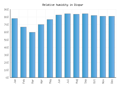Dispur relative humidity averages