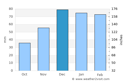 Diyarbakır average rain in December
