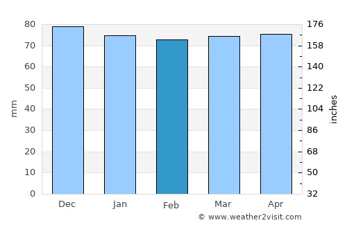 Diyarbakır average rain in February