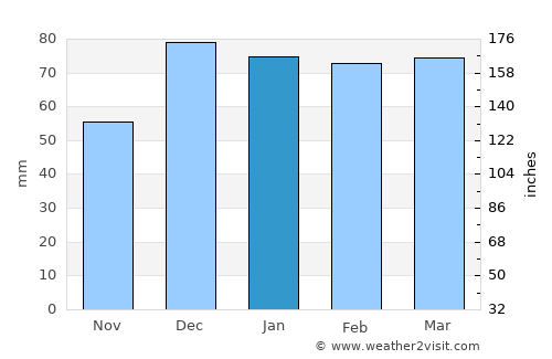 Diyarbakır average rain in January