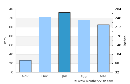 Dodoma average rain in January