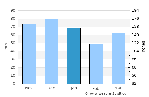 Doesburg average rain in January