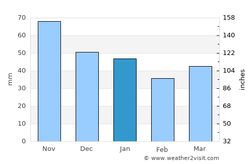Dokka average rain in January