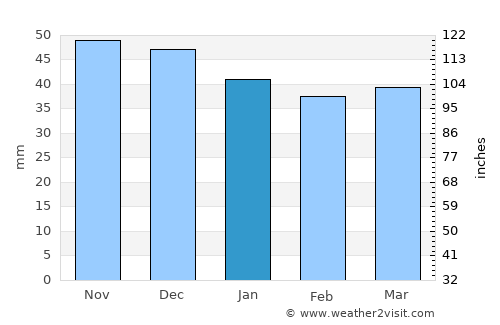 Dolna Mitropoliya average rain in January