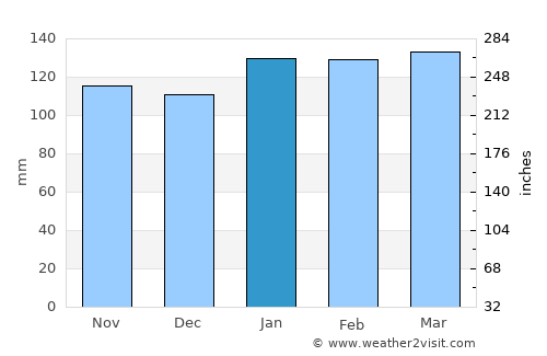 Dom Pedrito average rain in January