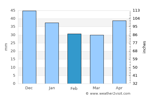 Donskoy average rain in February