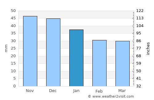 Donskoy average rain in January