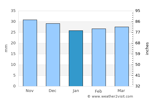 Dorohoi average rain in January