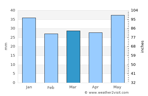 Dorotea average rain in March