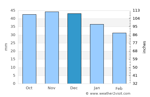 Drahichyn average rain in December