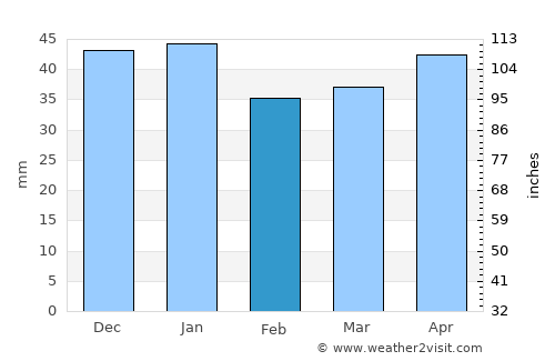 Driggs average rain in February