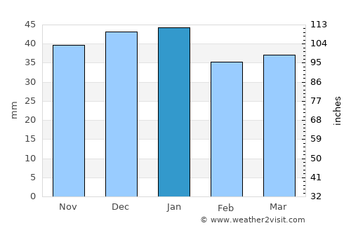 Driggs average rain in January