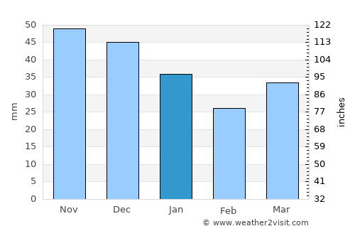 Druskininkai average rain in January
