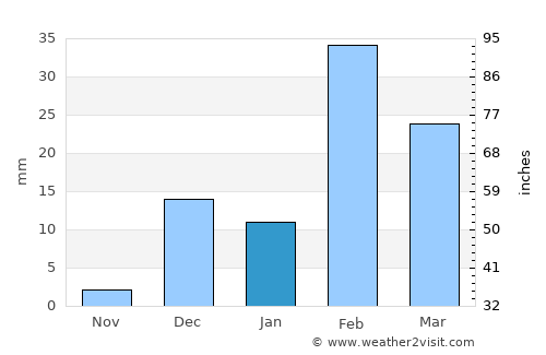 Dubai average rain in January