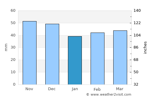 Dunavtsi average rain in January