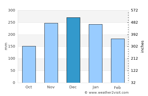 Duncan average rain in December