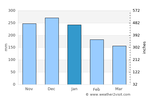 Duncan average rain in January