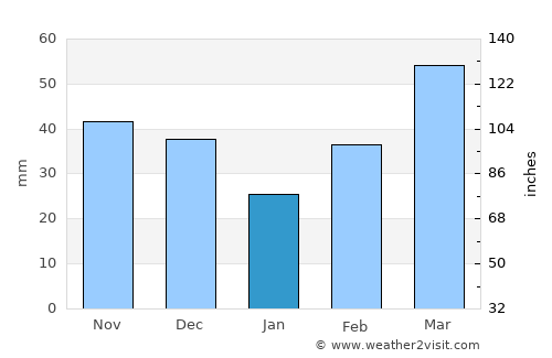 Duncan average rain in January