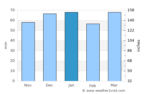Dunedin average rain in January