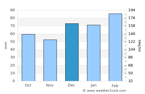Dunedin average rain in December