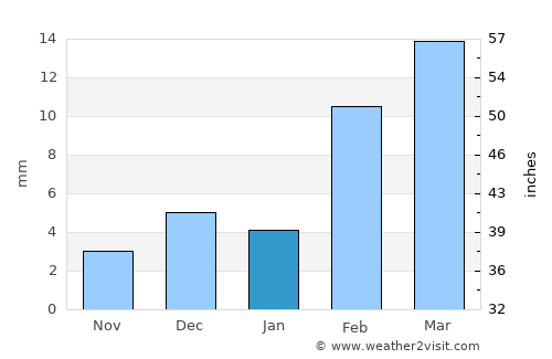 Dunga Bunga average rain in January