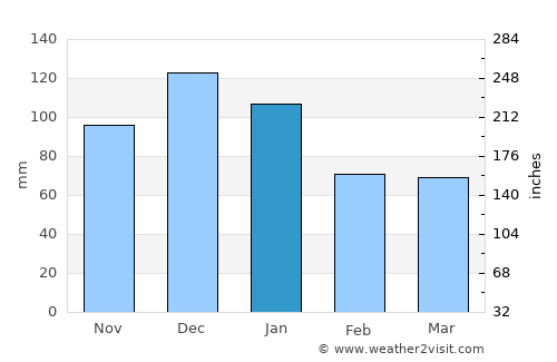 Durusu average rain in January