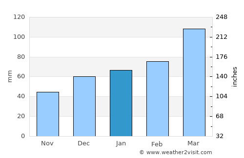 Dushanbe average rain in January