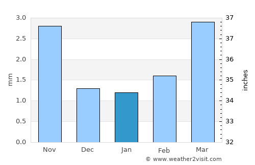 Dzag average rain in January