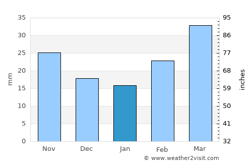 Dzagam average rain in January