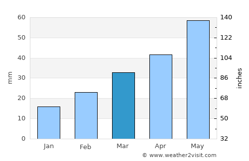 Dzagam average rain in March