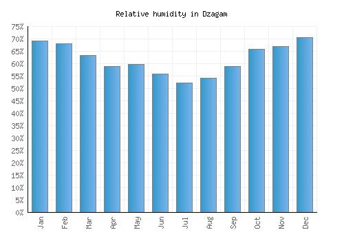Dzagam relative humidity averages