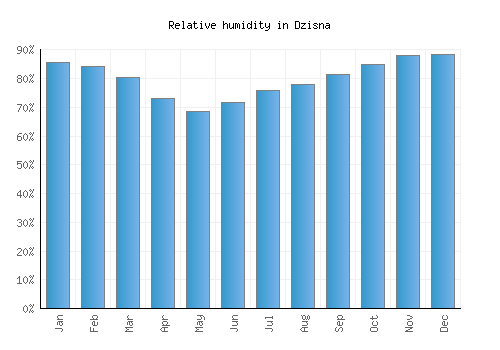 Dzisna relative humidity averages