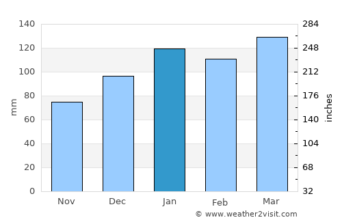 Edgefield average rain in January
