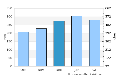 Eirunepé average rain in December