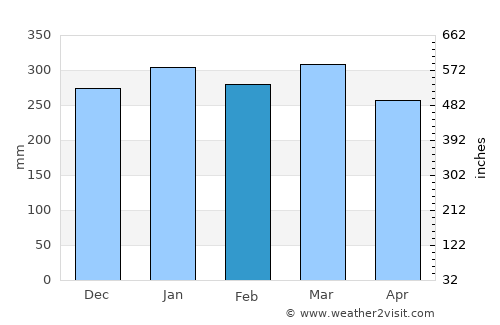 Eirunepé average rain in February