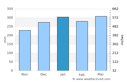 Eirunepé average rain in January