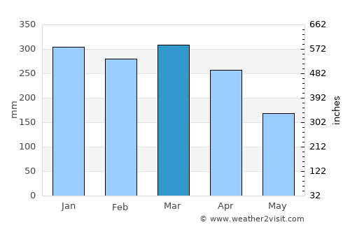 Eirunepé average rain in March