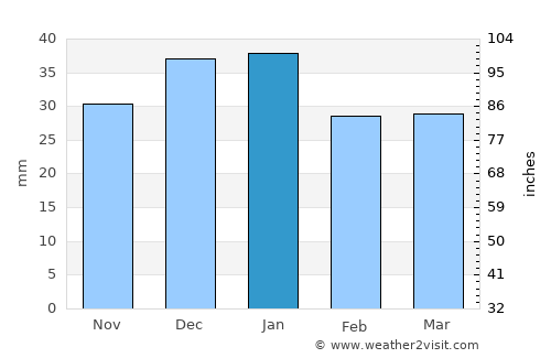 El Ejido average rain in January