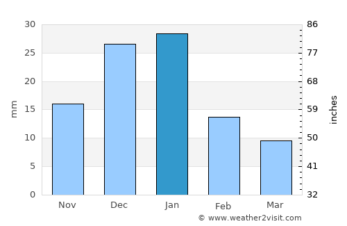 El Fuerte average rain in January