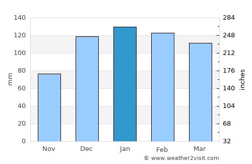 El Hoyo average rain in January